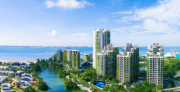 滨海绿梦，韵谱华章——森林城市打造人居典范